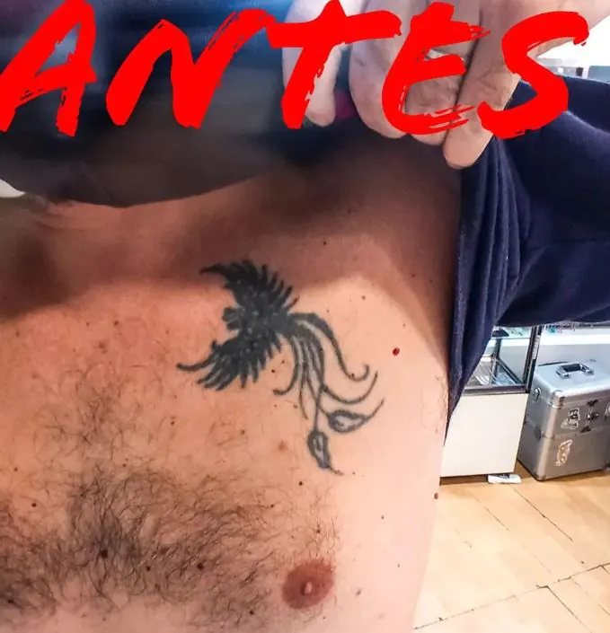 ave fenix cover up