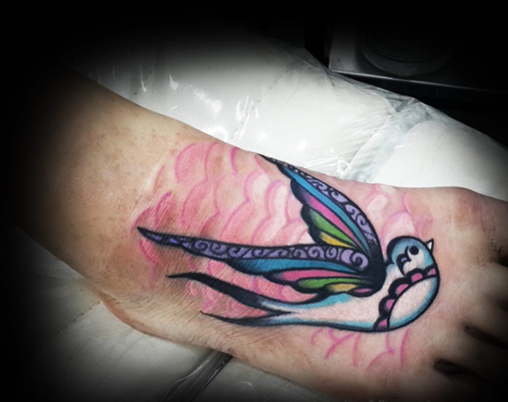 gaviota tradicional old school
