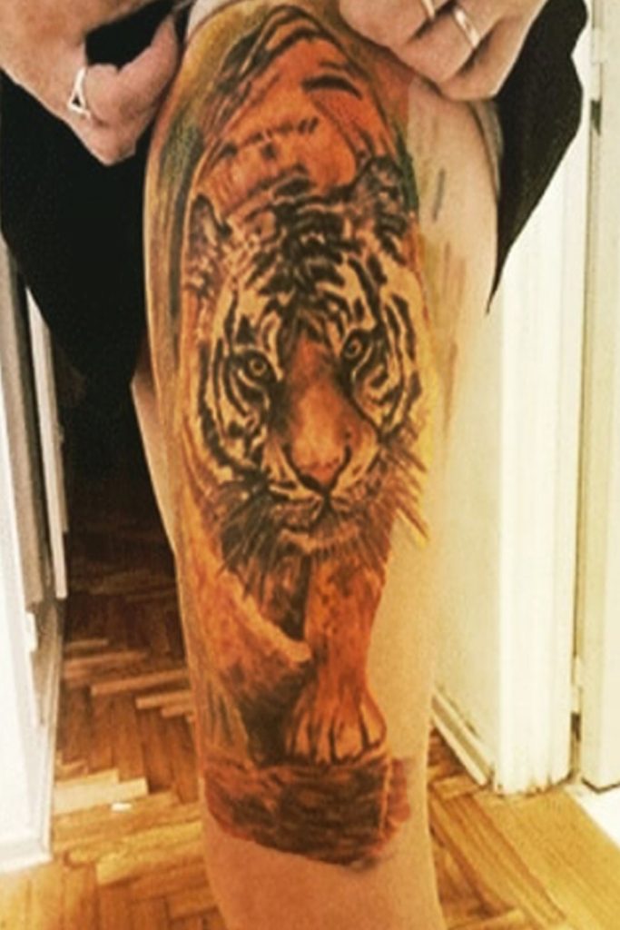 tatuaje de leon realista a color