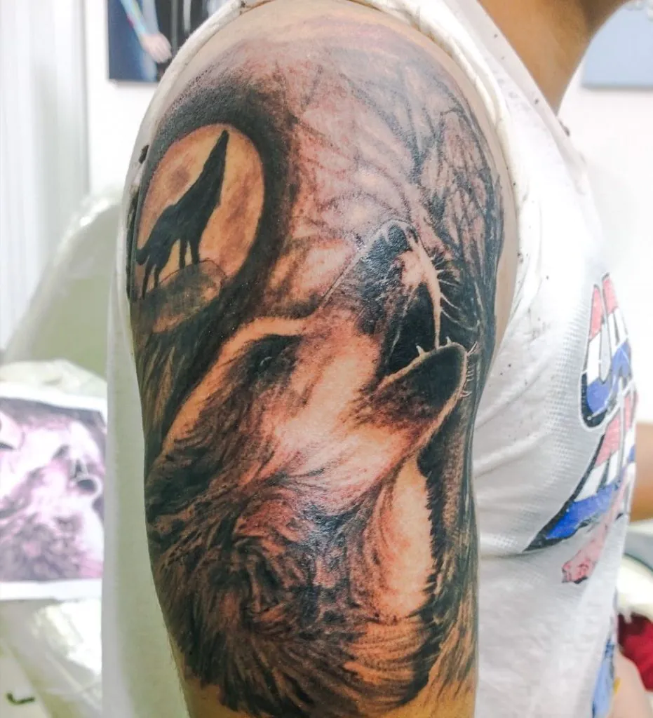 lobo realista en black and gray