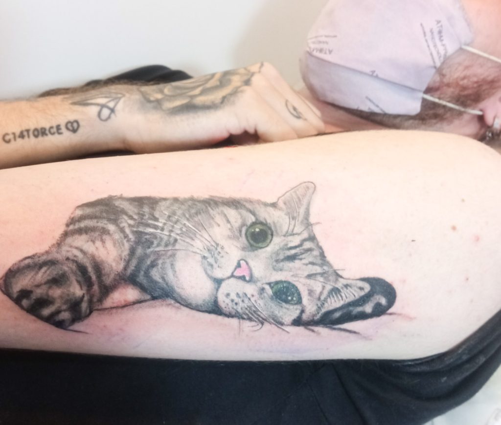 tauaje de gatito realista