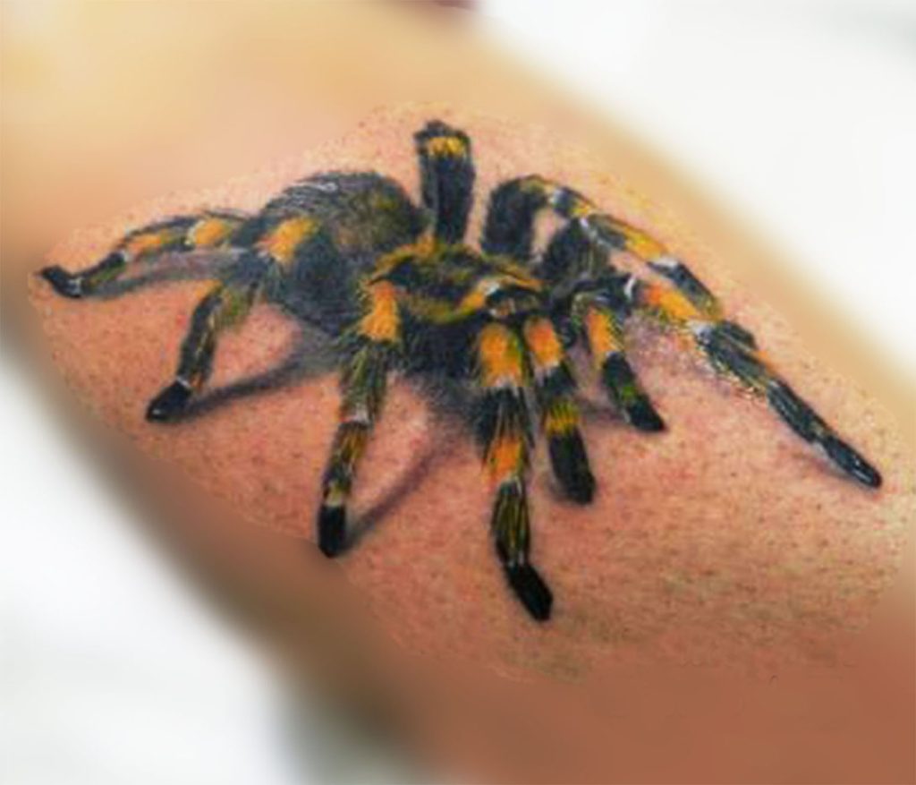 tatuaje de tarantula realista