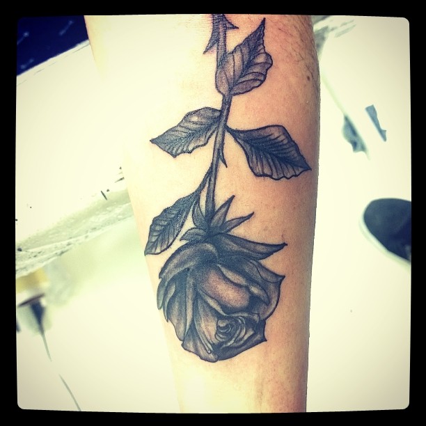 tatuaje blackwork rosas