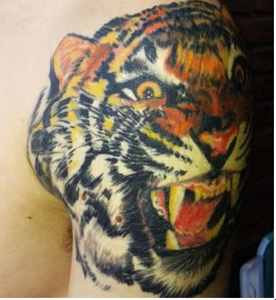 tigre neo tradi